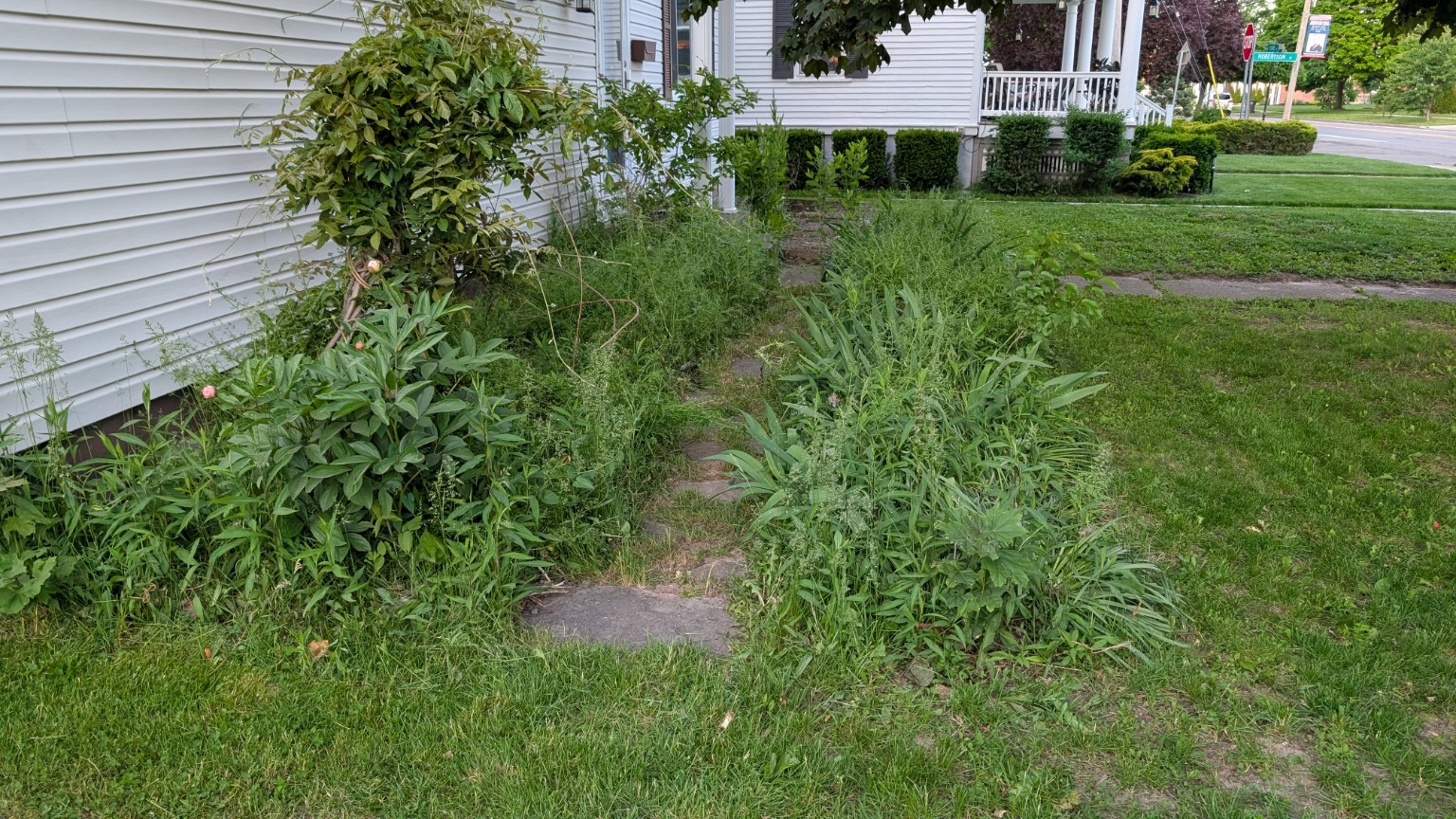 Property before cleanup